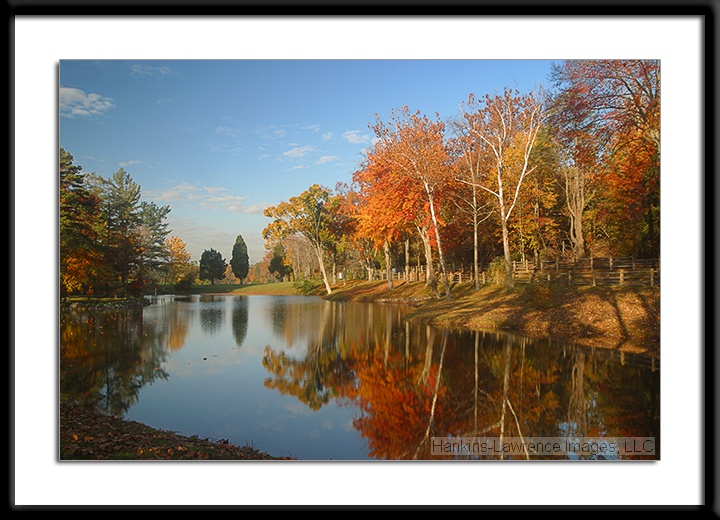 Autumn at the Pond