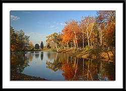 autumn at the pond