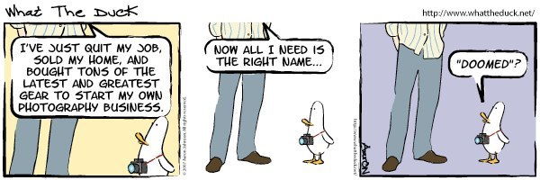 What the Duck Comic Strip # 129