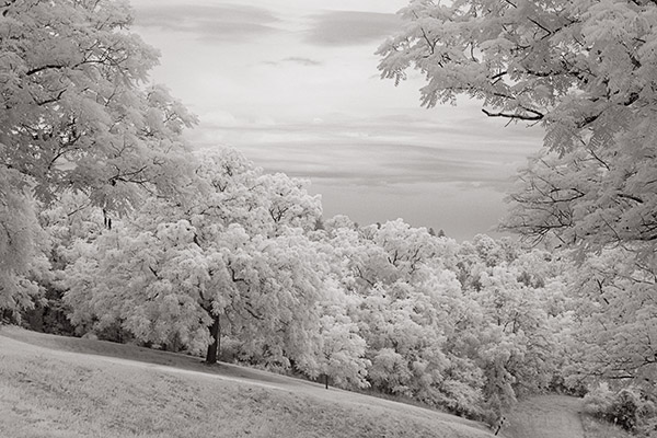 Antietam National Battlefield