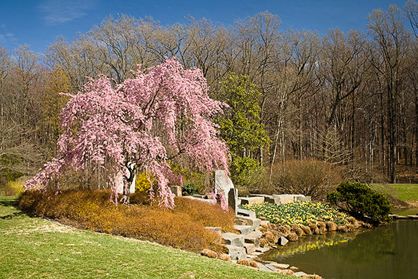 brookside_reflectionterrace_1_3126