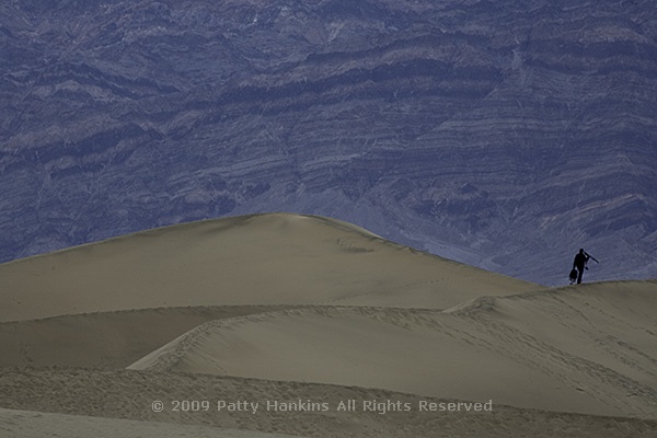 sanddune_david_5558