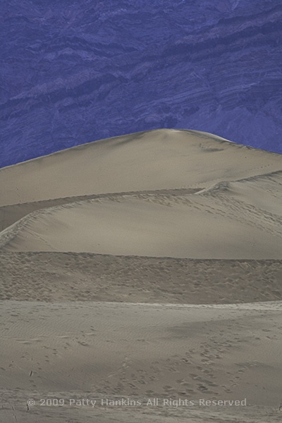 sanddunes_5689