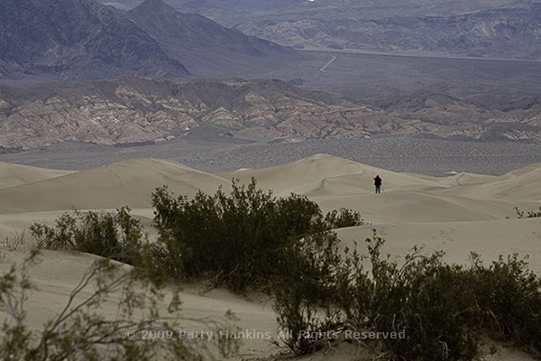 sanddunes_brian_5671