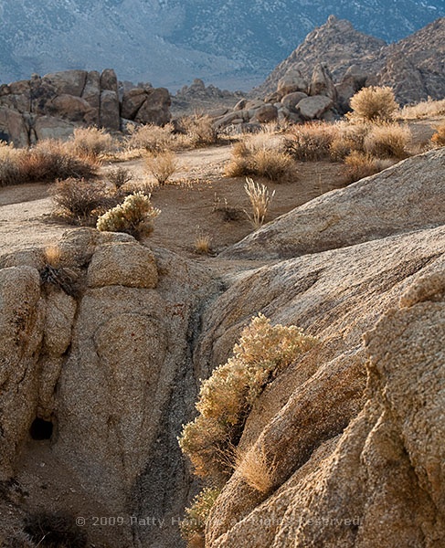 alabama_hills_scenic_5950