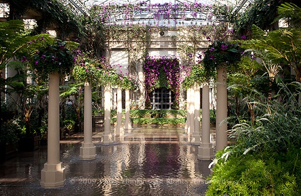 longwood_orchid_garden_court_1106