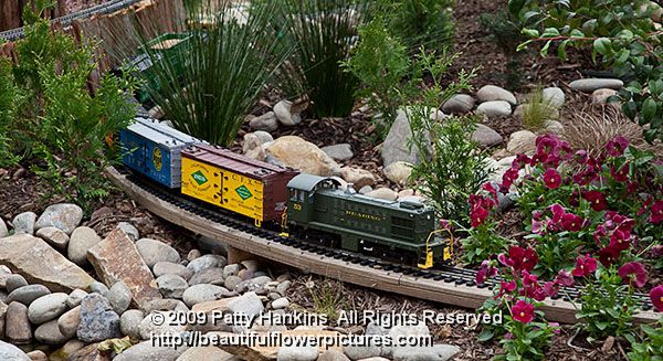 longwood_garden_railway-213