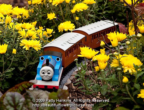 longwood_garden_railway-234