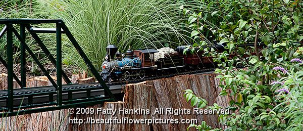 longwood_garden_railway-249