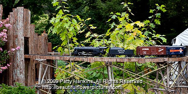 longwood_garden_railway-315