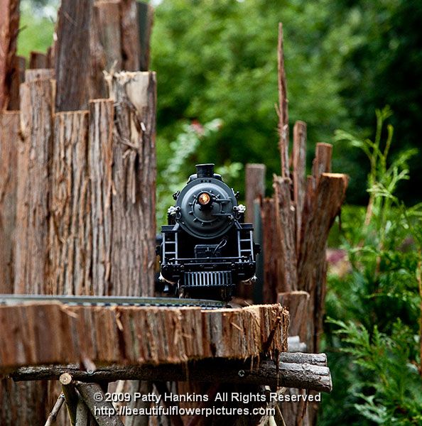 longwood_garden_railway-336