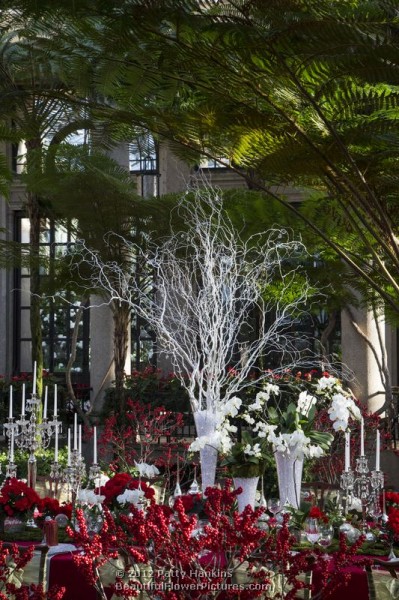 Longwood Gardens - Christmas - Exhibition Hall - Table - 2012