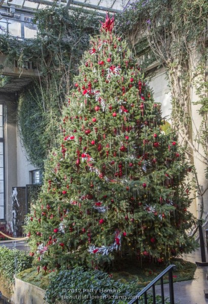 Longwood Gardens - Christmas - Exhibition Hall - Tree - 2012