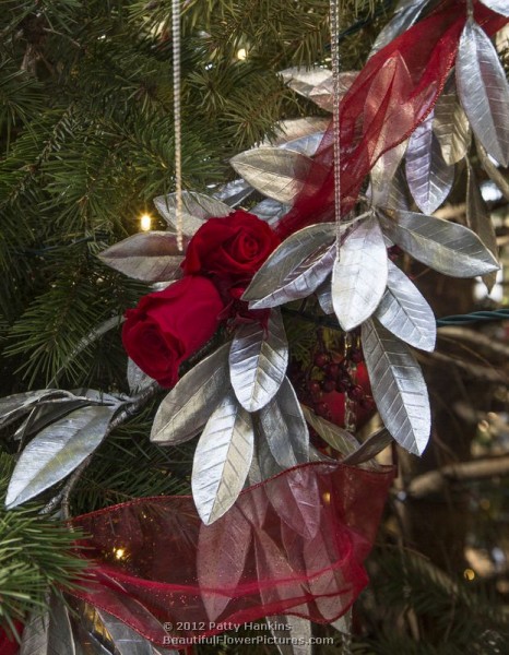 Longwood Gardens - Christmas - Exhibition Hall - Tree - 2012