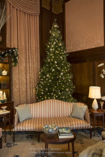 Longwood Gardens - Music Room - Christmas - 2012