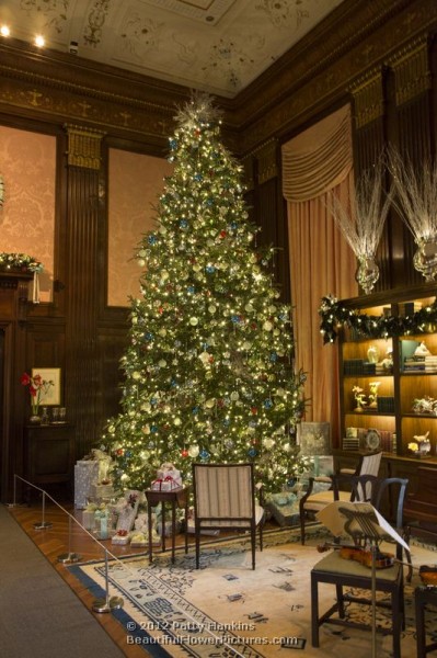 Longwood Gardens - Music Room - Christmas - 2012