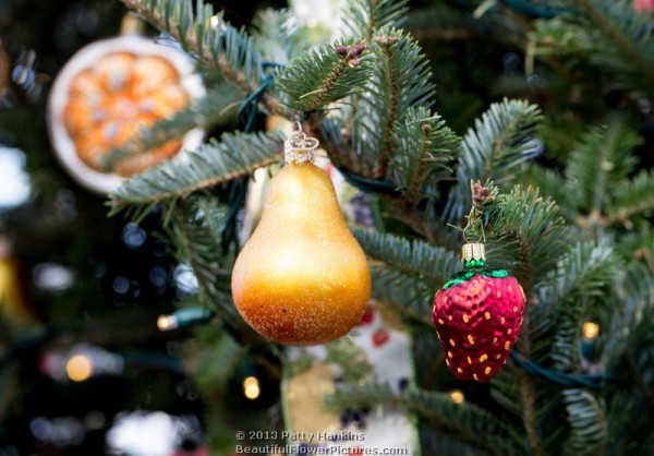 Christmas in the Kitchen Garden at Longwood Gardens © 2013 Patty Hankins