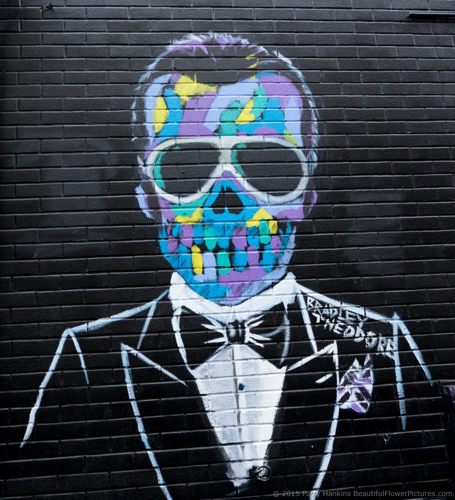 Skeletal Street Art in the Bowery © 2015 Patty Hankins