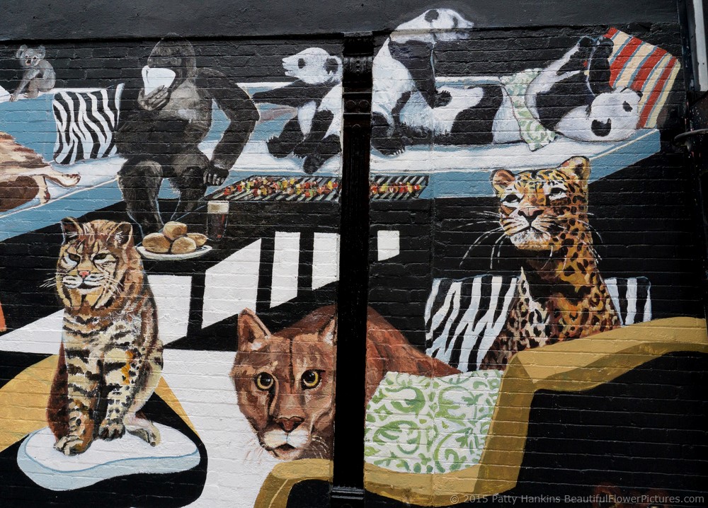 Wildlife Street Art in the Bowery © 2015 Patty Hankins