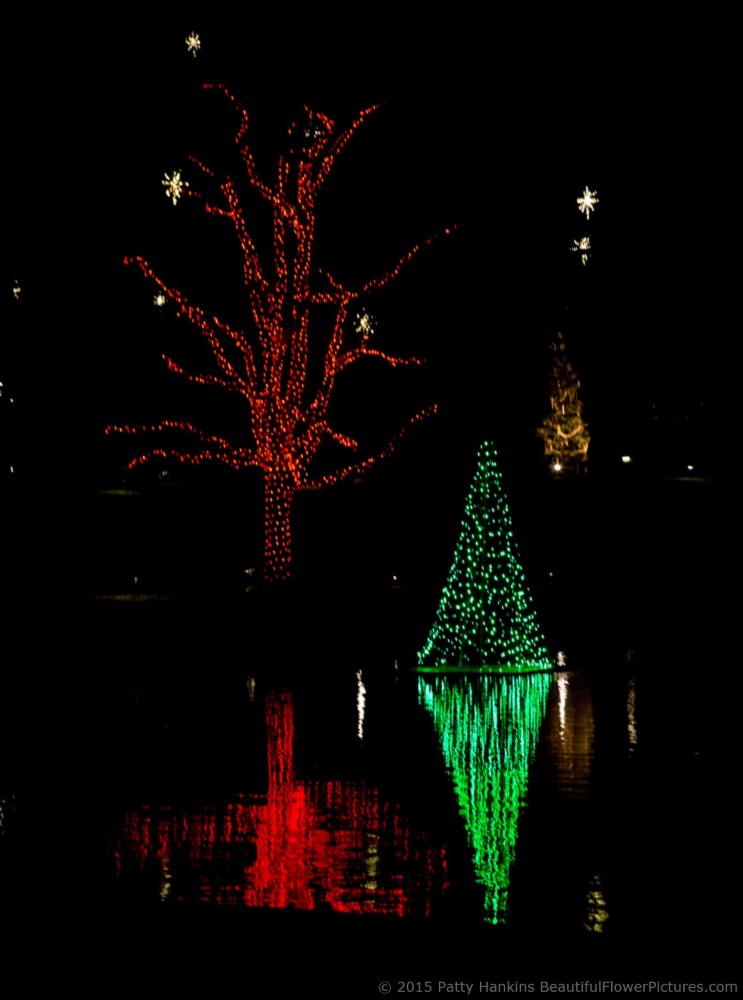 Outdoor Lights, Christmas at Longwood Gardens © 2015 Patty Hankins