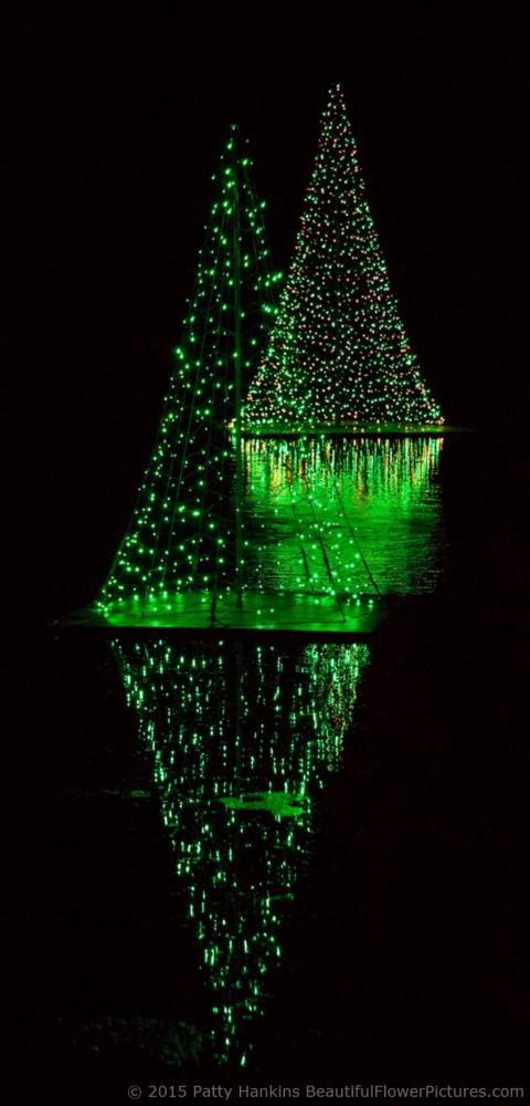 Outdoor Lights, Christmas at Longwood Gardens © 2015 Patty Hankins