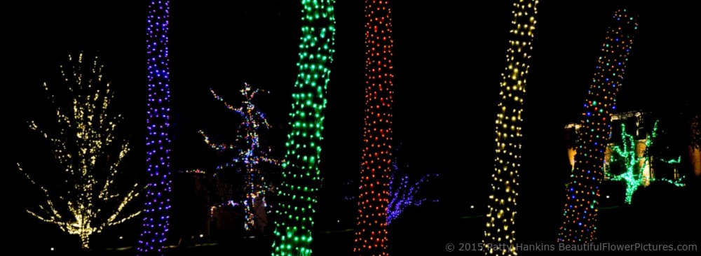 Outdoor Lights, Christmas at Longwood Gardens © 2015 Patty Hankins