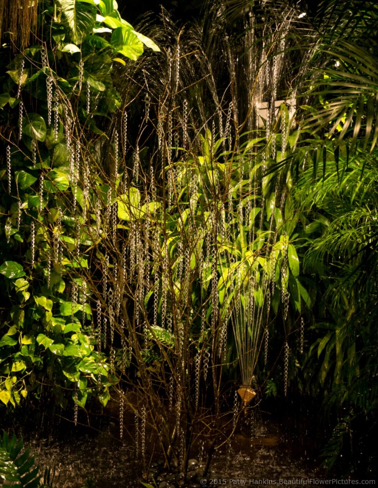 Christmas in the Tropical Terrace, Longwood Gardens © 2015 Patty Hankins