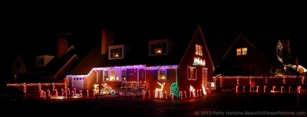 2015_12_lights_tripod_0196