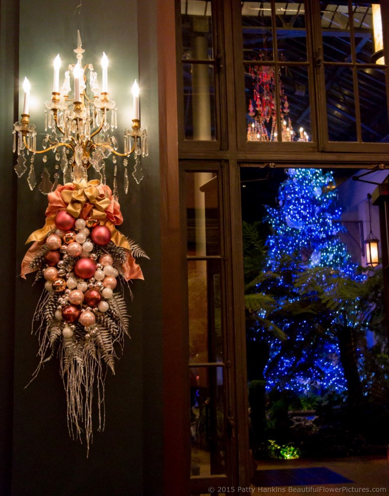 Christmas in the Ballroom - Longwood Gardens © 2015 Patty Hankins