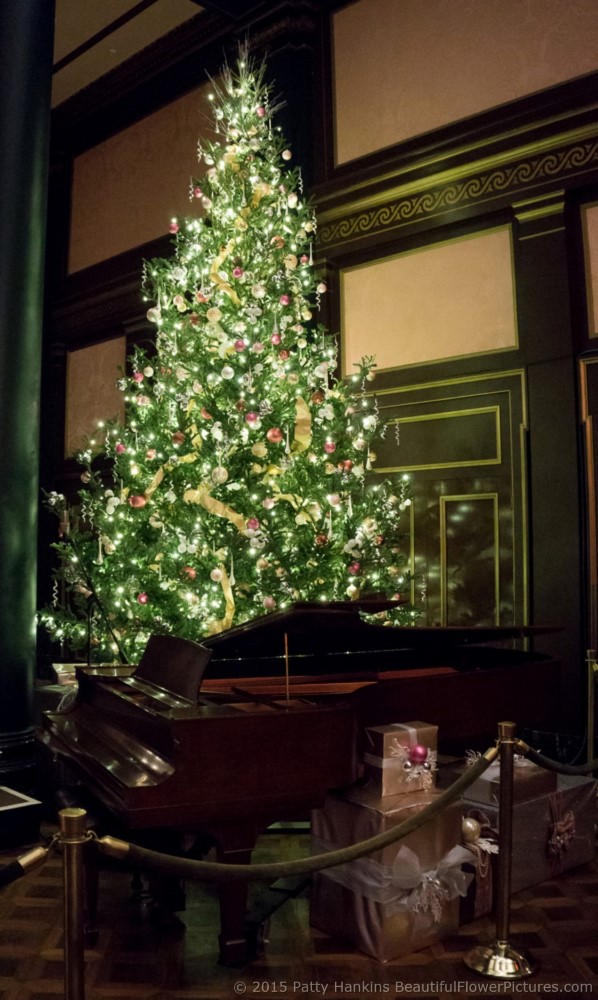 Christmas in the Ballroom - Longwood Gardens © 2015 Patty Hankins