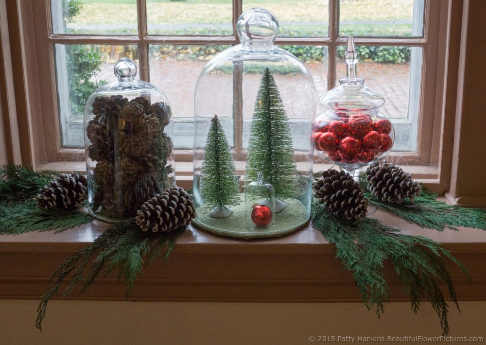 Christmas at du Pont House, Longwood Gardens © 2015 Patty Hankins