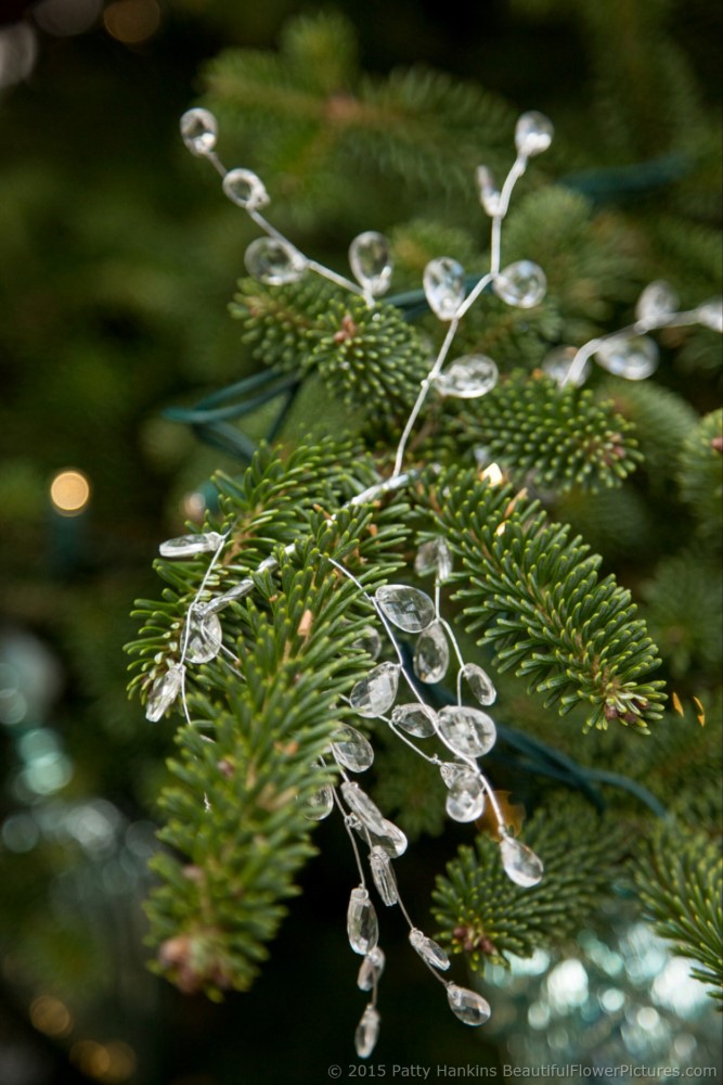 Christmas Decorations in the East Conservatory, Longwood Gardens © 2015 Patty Hankins