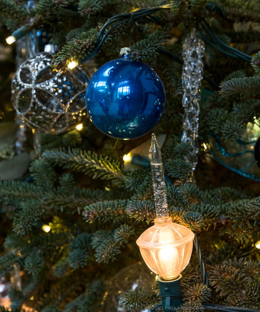 Christmas Decorations in the East Conservatory, Longwood Gardens © 2015 Patty Hankins