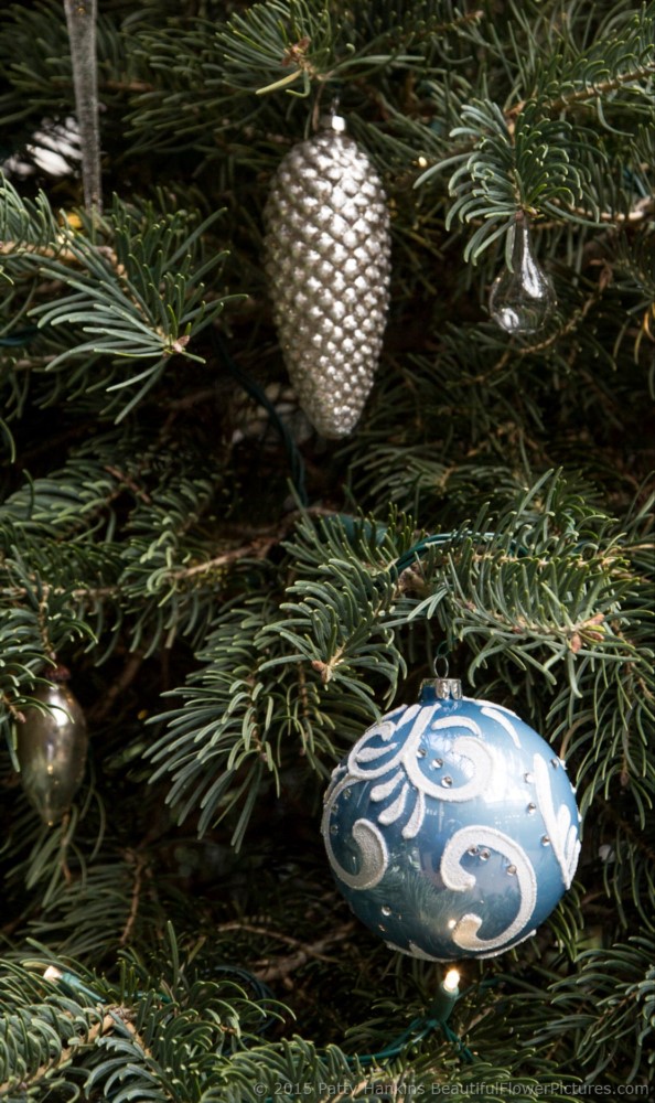 Christmas Decorations in the East Conservatory, Longwood Gardens © 2015 Patty Hankins