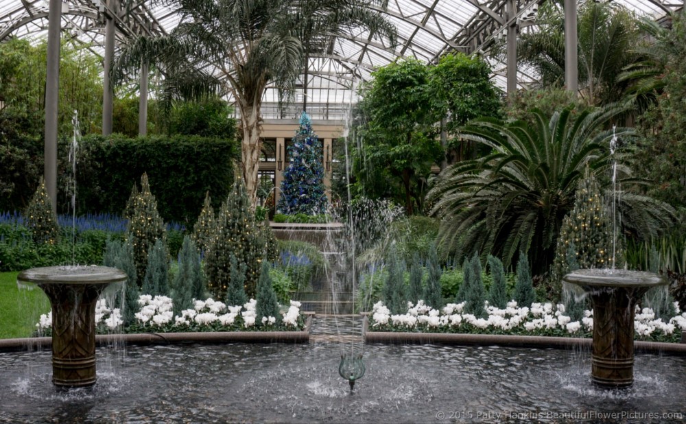 Christmas in the East Conservatory, Longwood Gardens © 2015 Patty Hankins