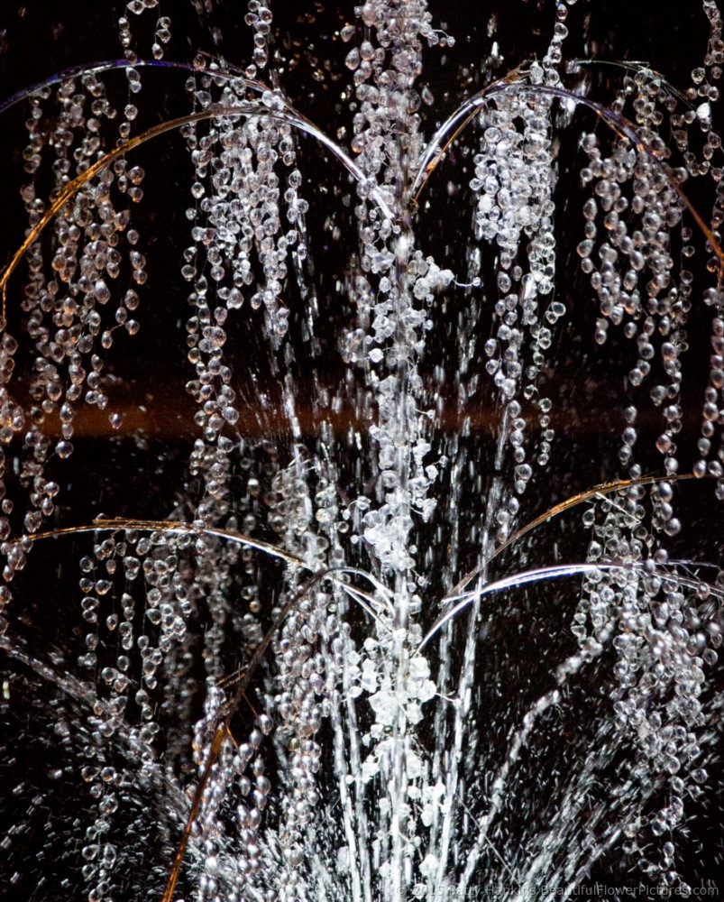 Fountain in the East Conservatory, Christmas at Longwood Gardens © 2015 Patty Hankins