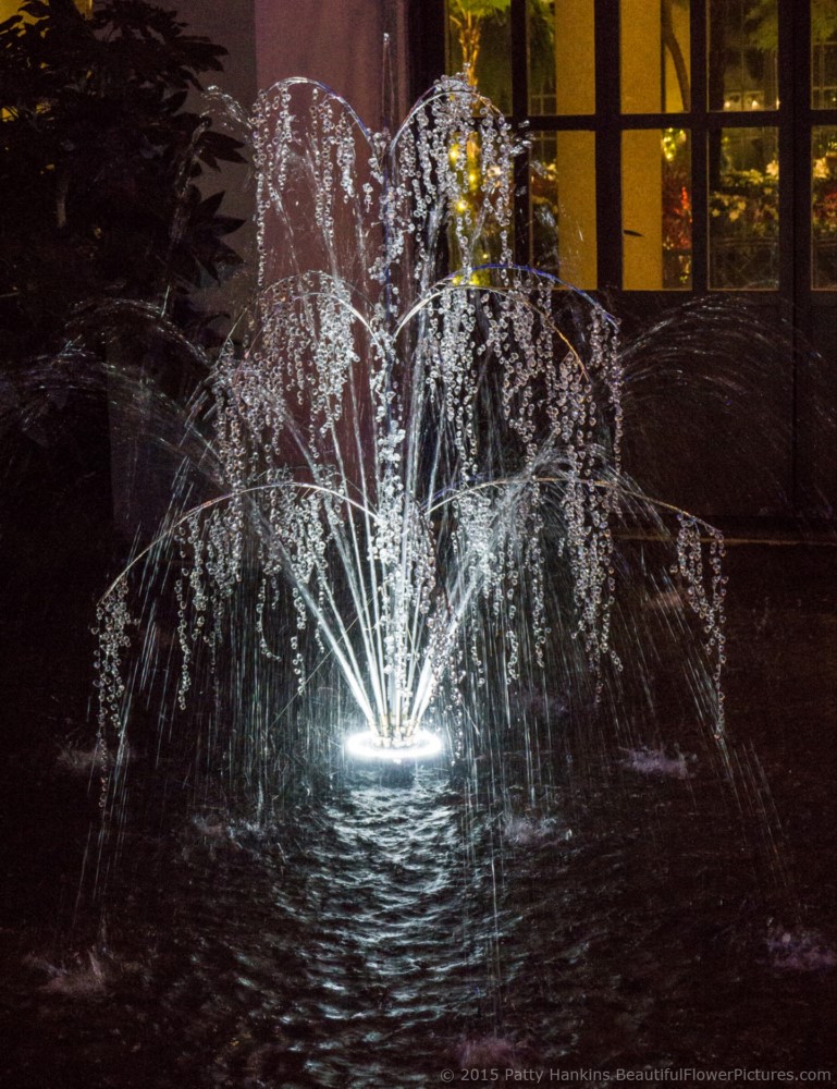 Fountain in the East Conservatory, Christmas at Longwood Gardens © 2015 Patty Hankins