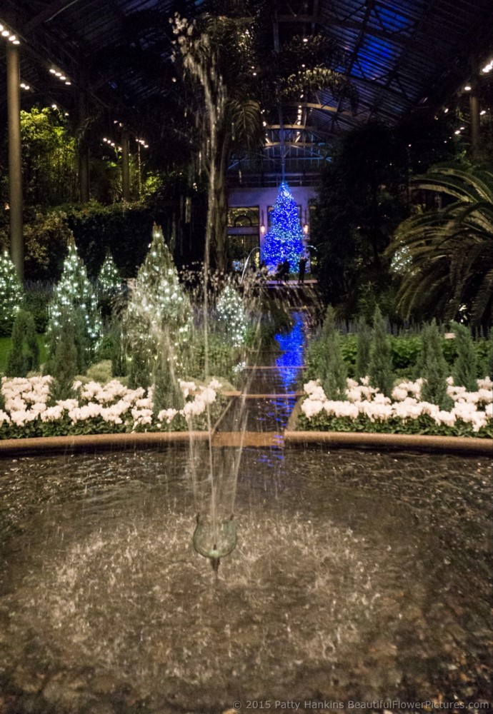 Christmas in the East Conservatory, Longwood Gardens © 2015 Patty Hankins