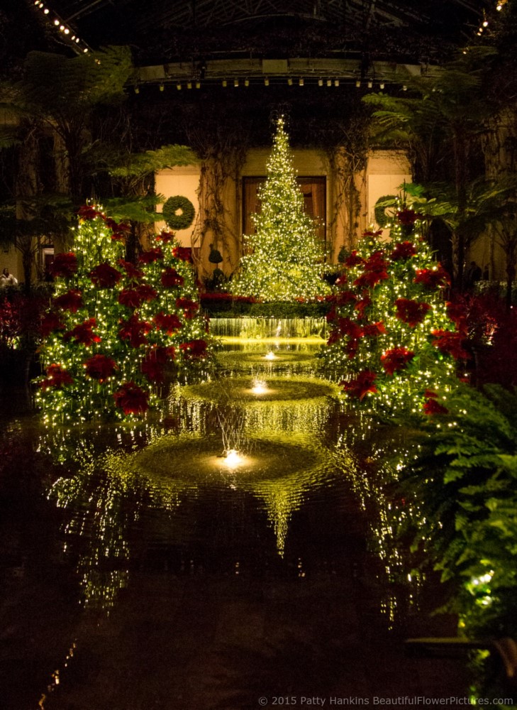 Christmas in the Exhibition Hall, Longwood Gardens © 2015 Patty Hankins