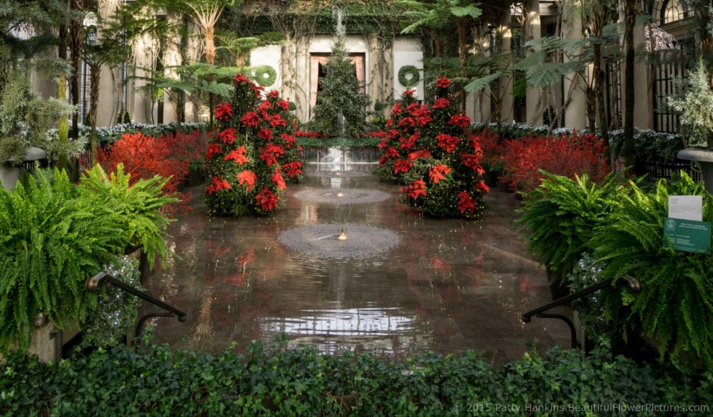 Christmas in the Exhibition Hall, Longwood Gardens © 2015 Patty Hankins