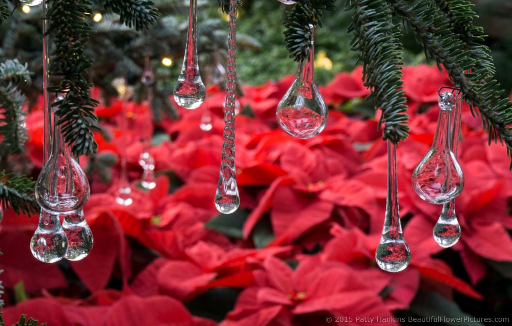 Decorations on the Exhibition Hall Tree, Longwood Gardens © 2015 Patty Hankins