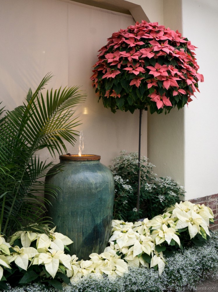 Hallway decorations, Christmas at Longwood Gardens © 2015 Patty Hankins