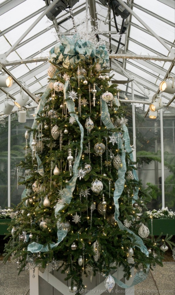 Christmas in the Kitchen Garden, Longwood Gardens © 2015 Patty Hankins