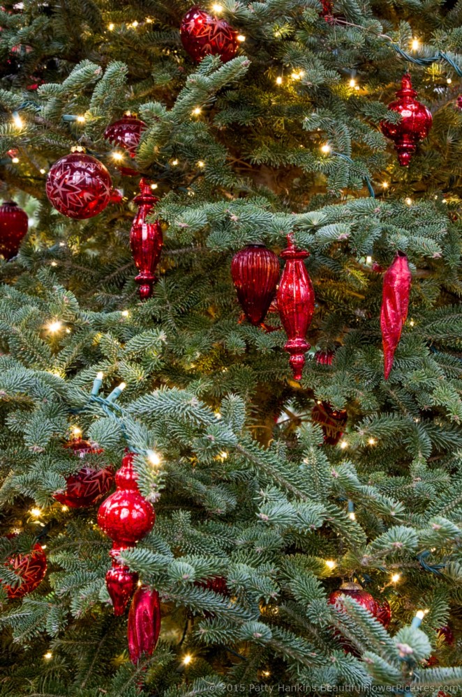 Christmas in the Main Conservatory, Longwood Gardens © 2015 Patty Hankins