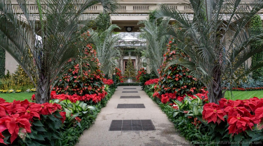 View from the Main Conservatory to the Exhibition Hall, Longwood Gardens © 2015 Patty Hankins