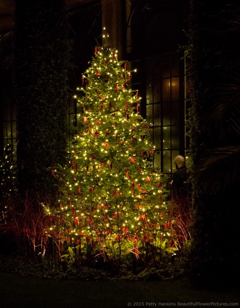 Christmas in the Exhibition Hall, Longwood Gardens © 2015 Patty Hankins