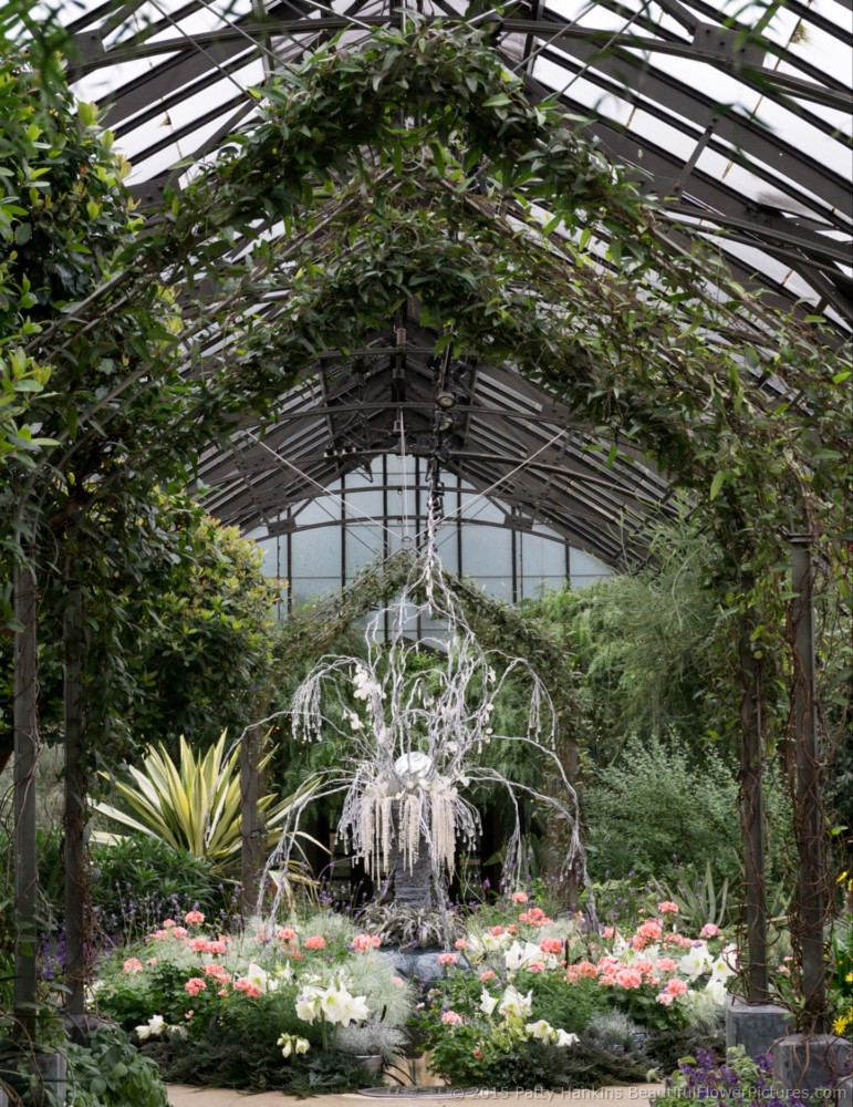 Christmas in the Mediterranean Garden, Longwood Gardens © 2015 Patty Hankins