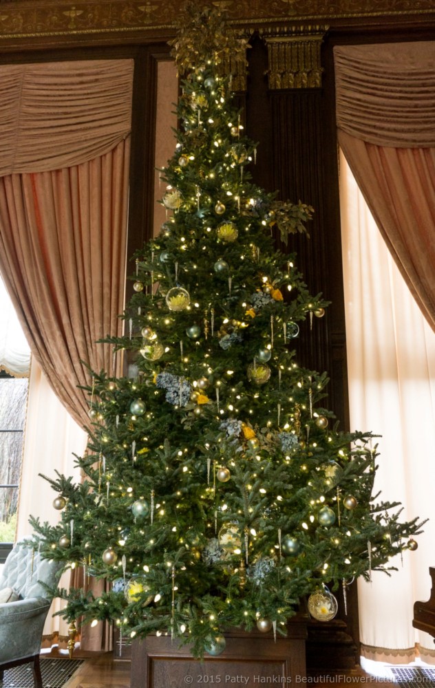 Christmas in the Music Room, Longwood Gardens © 2015 Patty Hankins