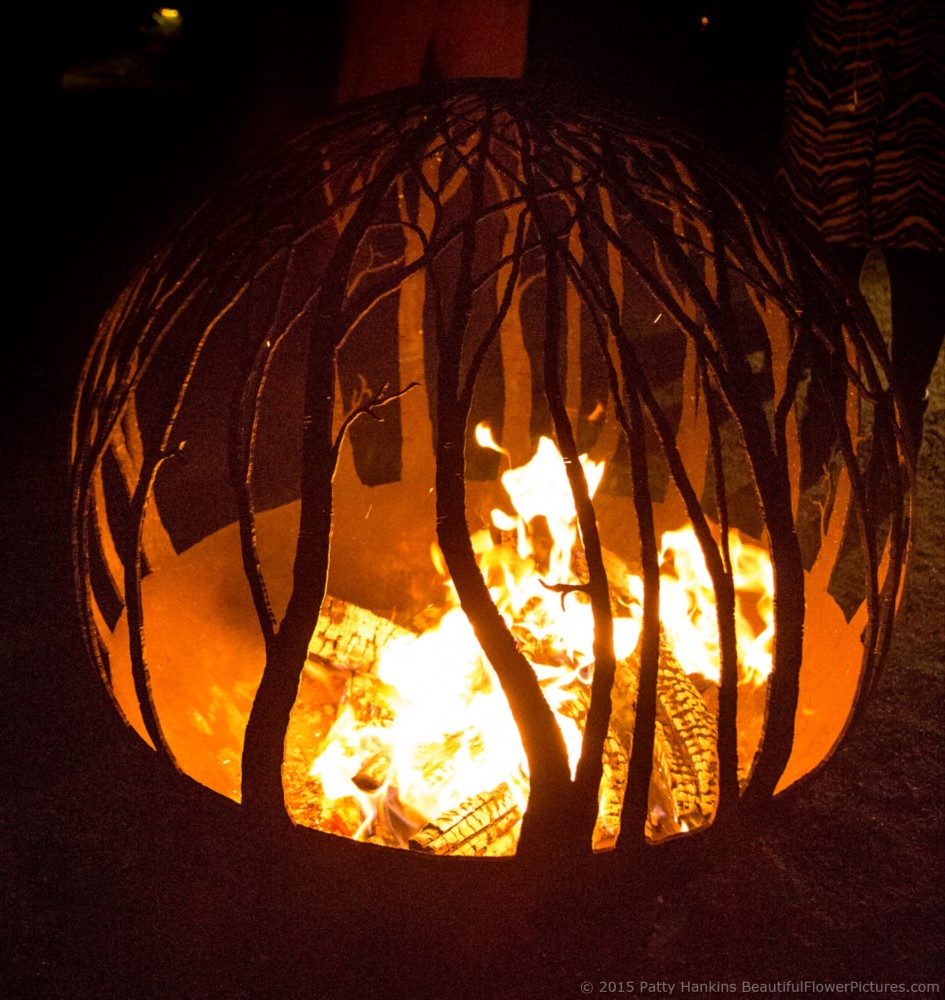 Fire Pit, Christmas at Longwood Gardens © 2015 Patty Hankins