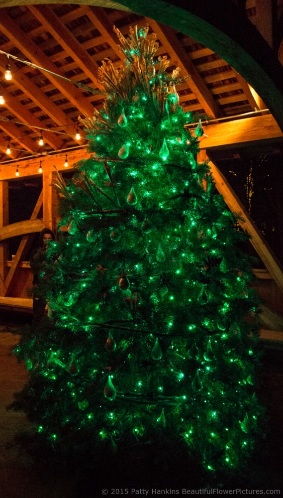 Meadow Tree, Christmas at Longwood Gardens © 2015 Patty Hankins